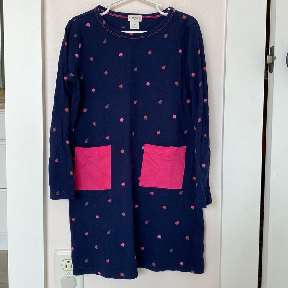 Crewcuts apple dress (back to school dress)